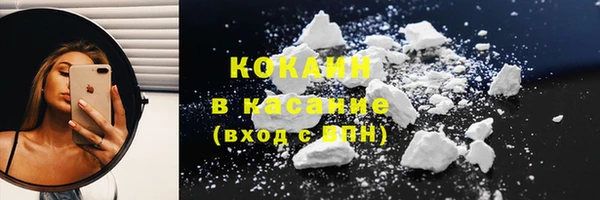 прущие грибы Алексеевка
