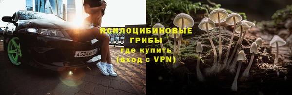 прущие грибы Алексеевка