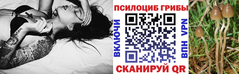 Псилоцибиновые грибы прущие грибы  даркнет официальный сайт  Йошкар-Ола  OMG маркетплейс 